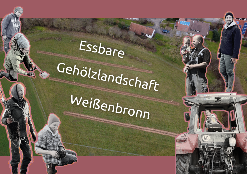 Collage mit Luftbild der Fläche und einzelnen Personen 
